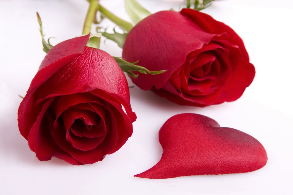 Red-Heart-Love-Roses-Flower-Wallpaper-HD%20(1)